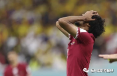 世界杯战报/卡塔尔首战落败 球评：小组赛想取胜有难度